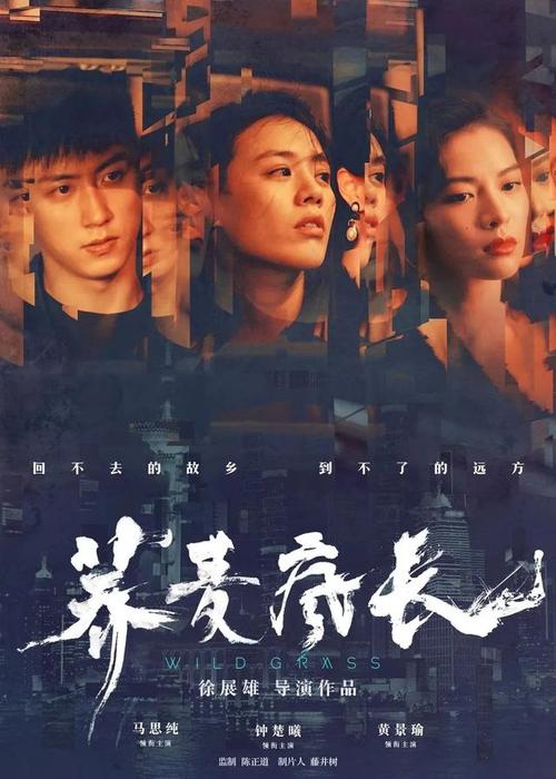 陶森大学学历认证